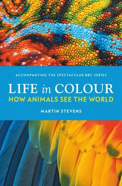 Martin Stevens - Life in Colour, E-bok