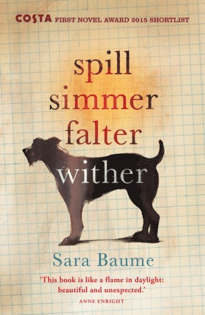 Sara Baume - Spill Simmer Falter Wither, E-bok