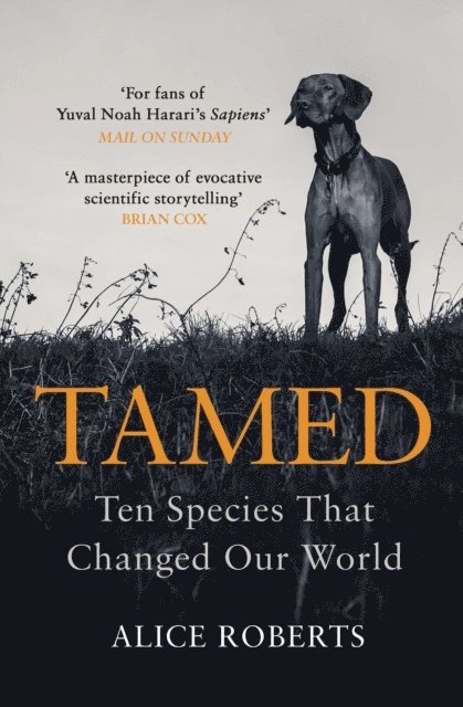Alice Roberts - Tamed, E-bok