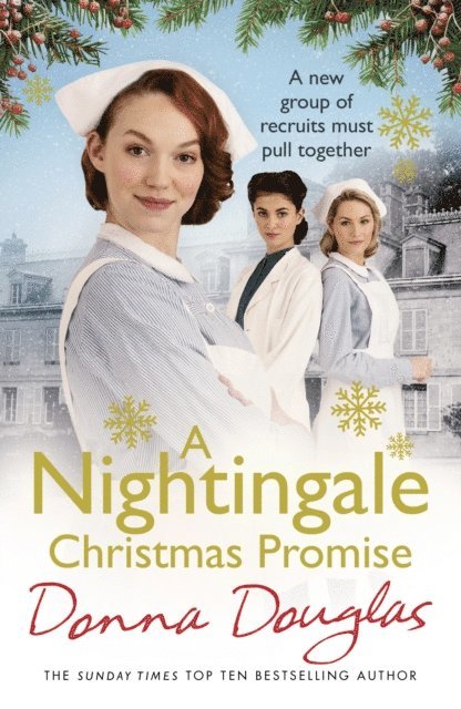 Donna Douglas - Nightingale Christmas Promise, E-bok