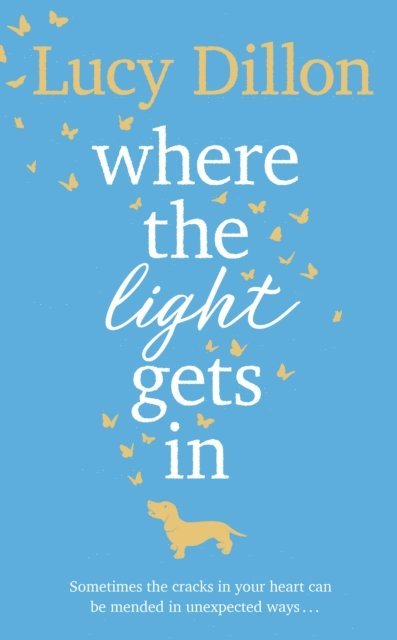 Lucy Dillon - Where The Light Gets In, E-bok