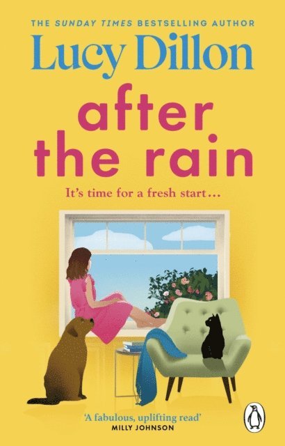 Lucy Dillon - After the Rain, E-bok