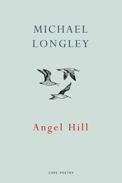 Michael Longley - Angel Hill, E-bok