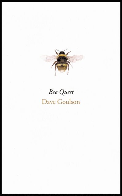 Dave Goulson - Bee Quest, E-bok