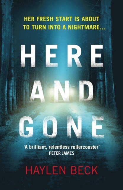 Haylen Beck - Here and Gone, E-bok
