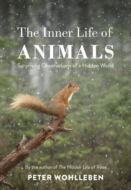 Peter Wohlleben - Inner Life of Animals, E-bok