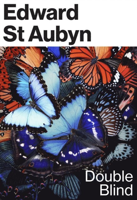 Edward St Aubyn - Double Blind, E-bok