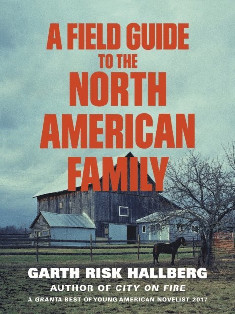Garth Risk Hallberg - Field Guide to the North American Family, E-bok