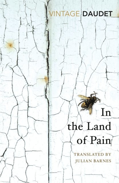 Alphonse Daudet - In the Land of Pain, E-bok