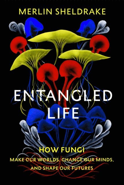 Merlin Sheldrake - Entangled Life, E-bok