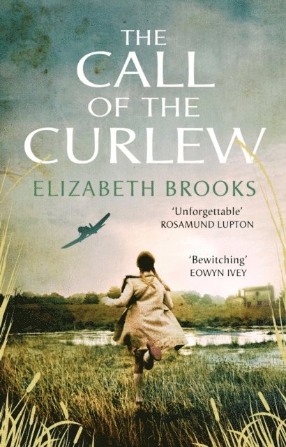 Elizabeth Brooks - Call of the Curlew, E-bok