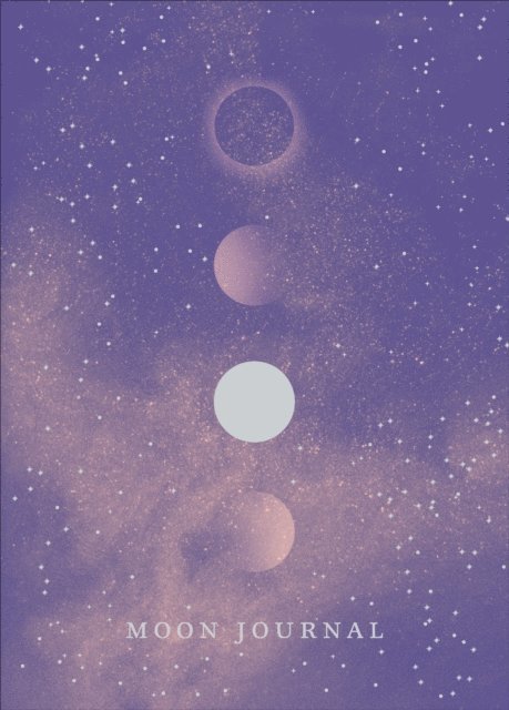 Sandy Sitron - Moon Journal, E-bok