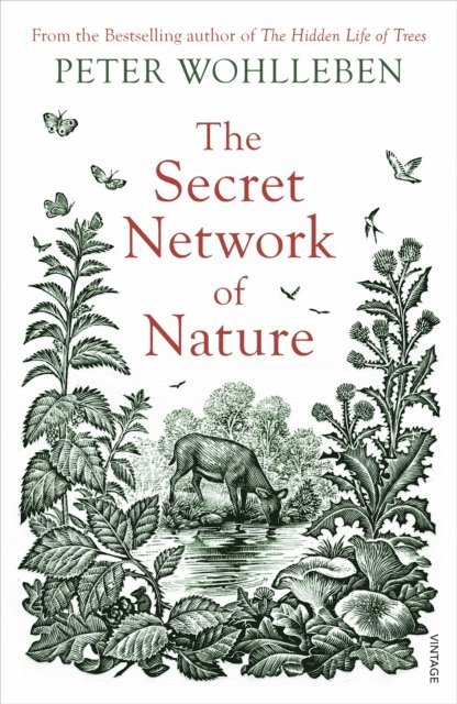Peter Wohlleben - Secret Network of Nature, E-bok