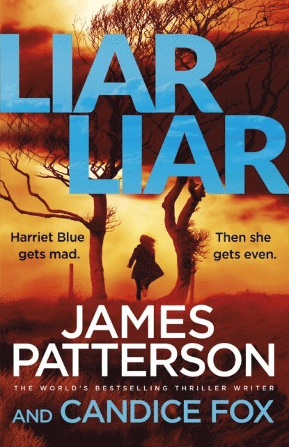 James Patterson, Candice Fox - Liar Liar, E-bok