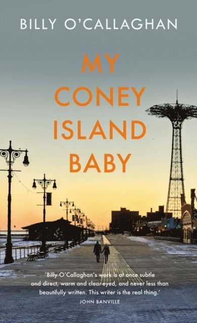Billy O'Callaghan - My Coney Island Baby, E-bok