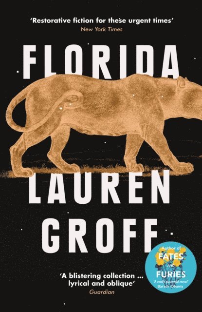 Lauren Groff - Florida, E-bok