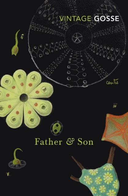 Edmund Gosse - Father and Son, E-bok