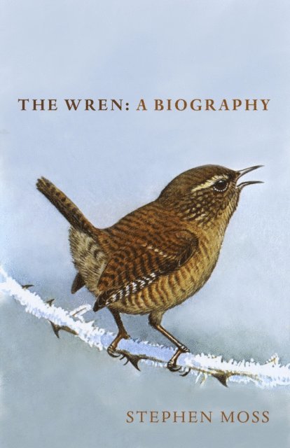 Stephen Moss - Wren, E-bok