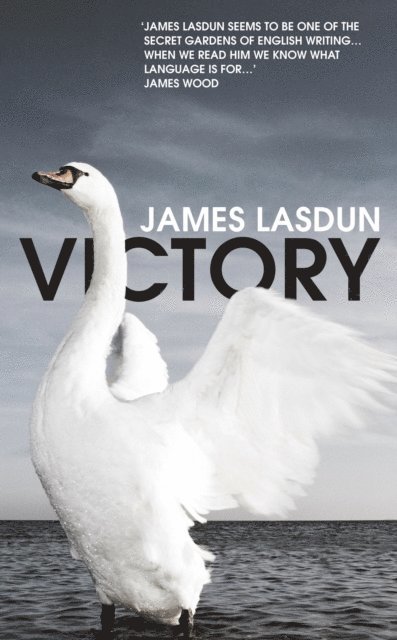 James Lasdun - Victory, E-bok