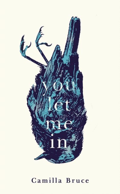 Camilla Bruce - You Let Me In, E-bok