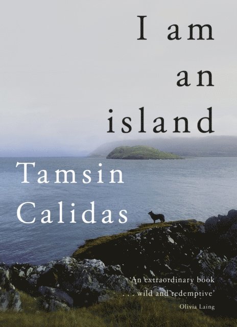I Am An Island