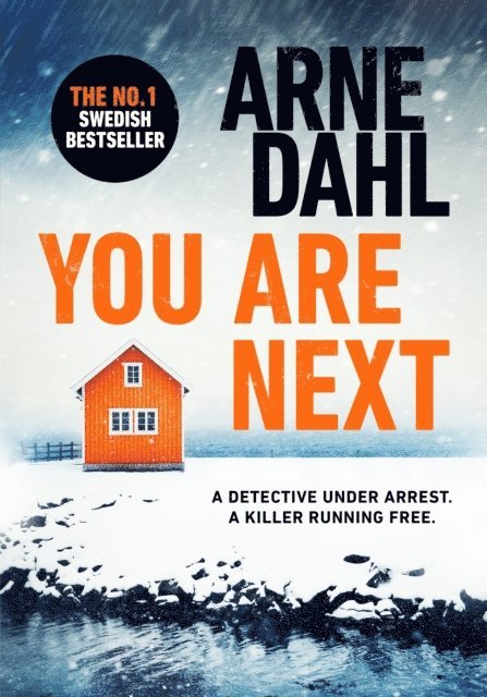 Arne Dahl - You Are Next, E-bok