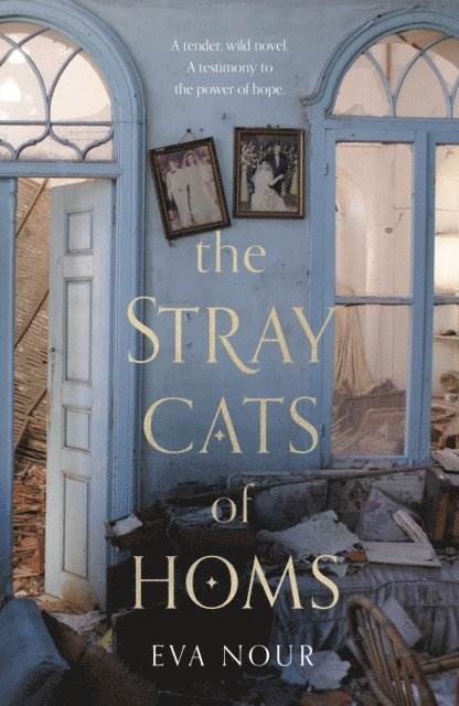 Eva Nour - Stray Cats of Homs, E-bok