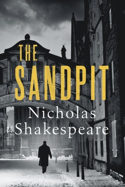 Nicholas Shakespeare - Sandpit, E-bok