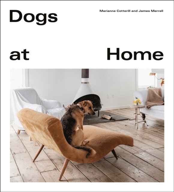Marianne Cotterill, James Merrell - Dogs at Home, E-bok