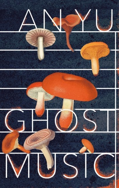 An Yu - Ghost Music, E-bok