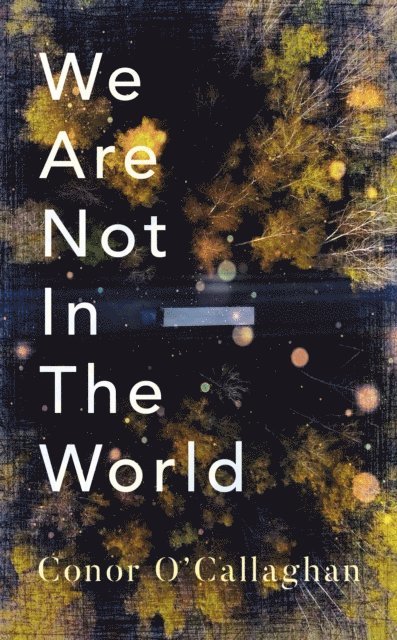 Conor O'Callaghan - We Are Not in the World, E-bok