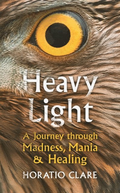 Horatio Clare - Heavy Light, E-bok