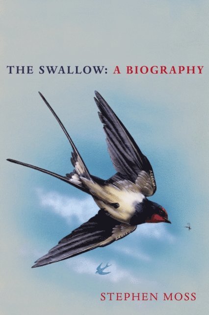 Stephen Moss - Swallow, E-bok