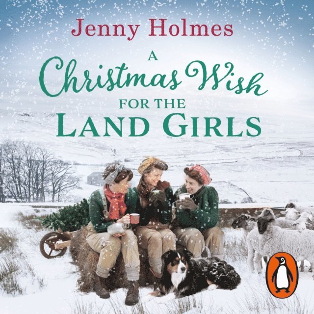 Jenny Holmes - Christmas Wish for the Land Girls, Ljudbok