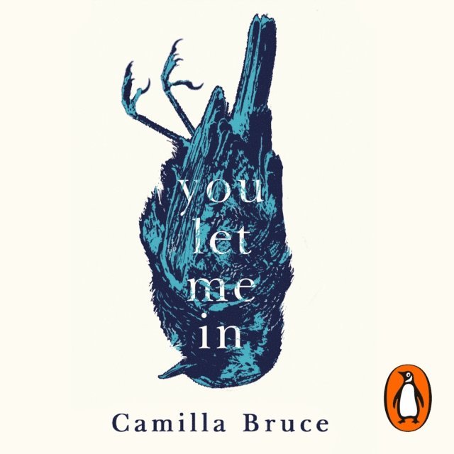 Camilla Bruce - You Let Me In, Ljudbok