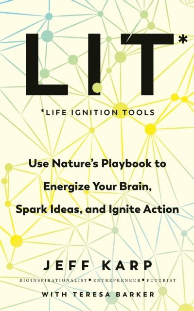 Jeffrey Karp - LIT, E-bok