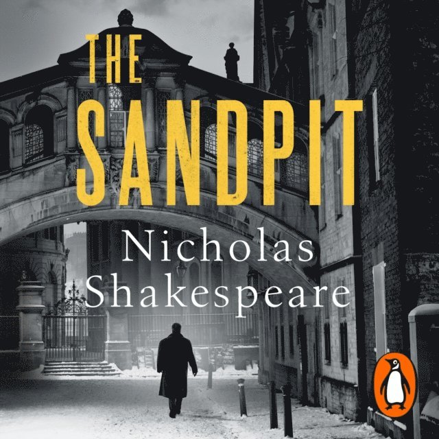 Nicholas Shakespeare - Sandpit, Ljudbok