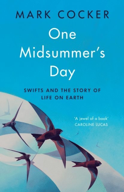Mark Cocker - One Midsummer's Day, E-bok