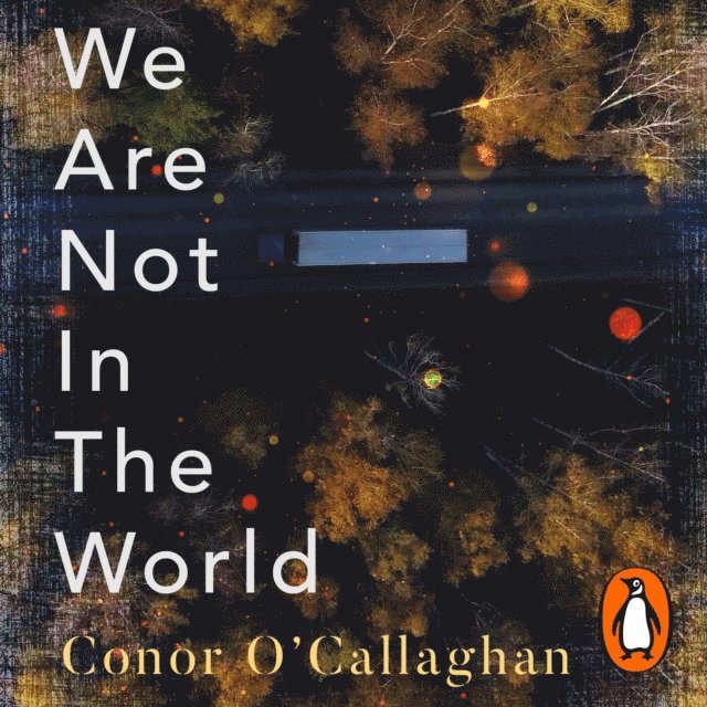 Conor O'Callaghan - We Are Not in the World, Ljudbok