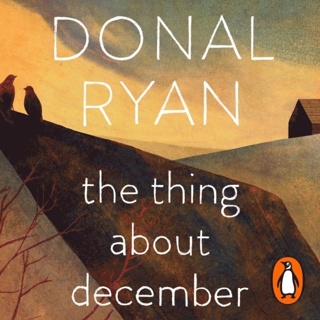 Donal Ryan - Thing About December, Ljudbok