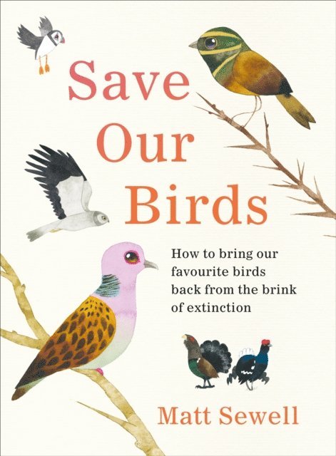 Matt Sewell - Save Our Birds, E-bok
