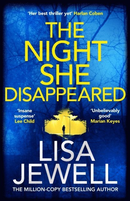 Lisa Jewell - Night She Disappeared, E-bok