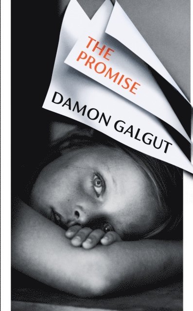 Damon Galgut - The Promise, E-bok