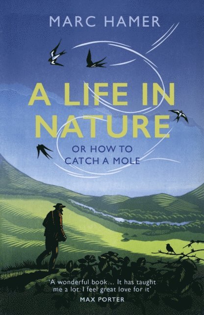 Marc Hamer - Life in Nature, E-bok. Tillgänglighet: Lägg i varukorg