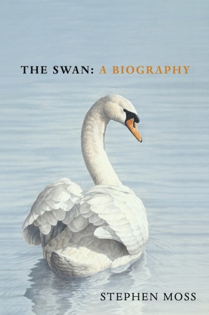 Stephen Moss - Swan, E-bok