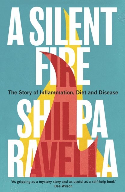 Shilpa Ravella - Silent Fire, E-bok