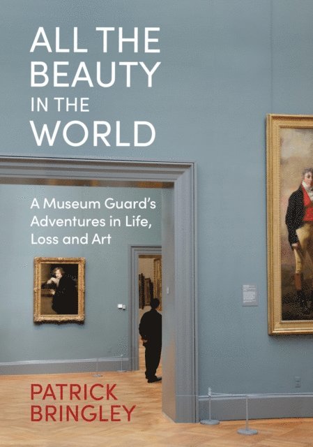 Patrick Bringley - All the Beauty in the World, E-bok