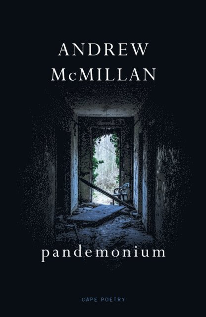 Andrew McMillan - pandemonium, E-bok