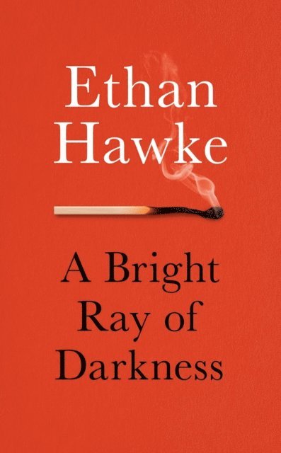 Ethan Hawke - Bright Ray of Darkness, E-bok