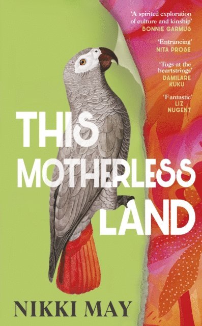 Nikki May - This Motherless Land, E-bok